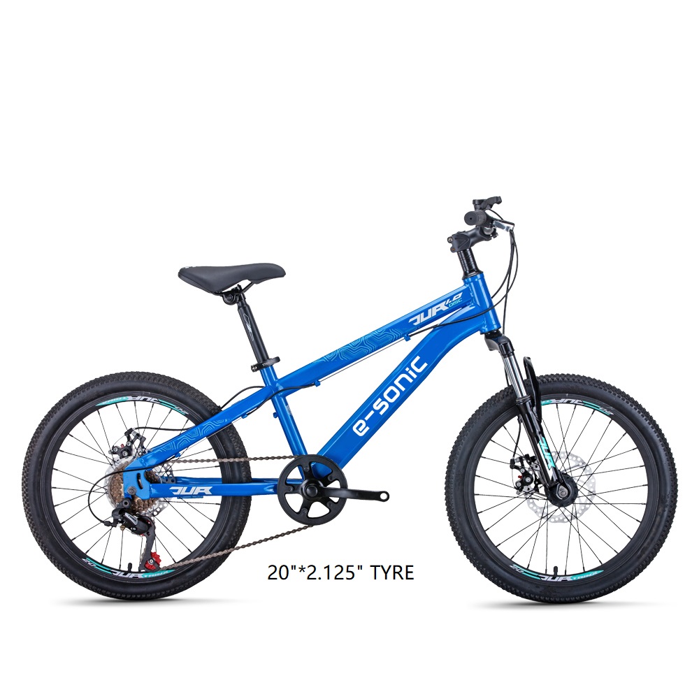 Оптовая торговля горный велосипед 20 дюймов/6 скоростей MTB детский велосипед JUNIOR 1,0 для детей От 8 до 12 лет велосипеды для детей детский велосипед
