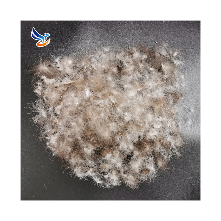 Wholesale Price Gray Professional And Practical Washable Goose Feather Down for Bed Linings