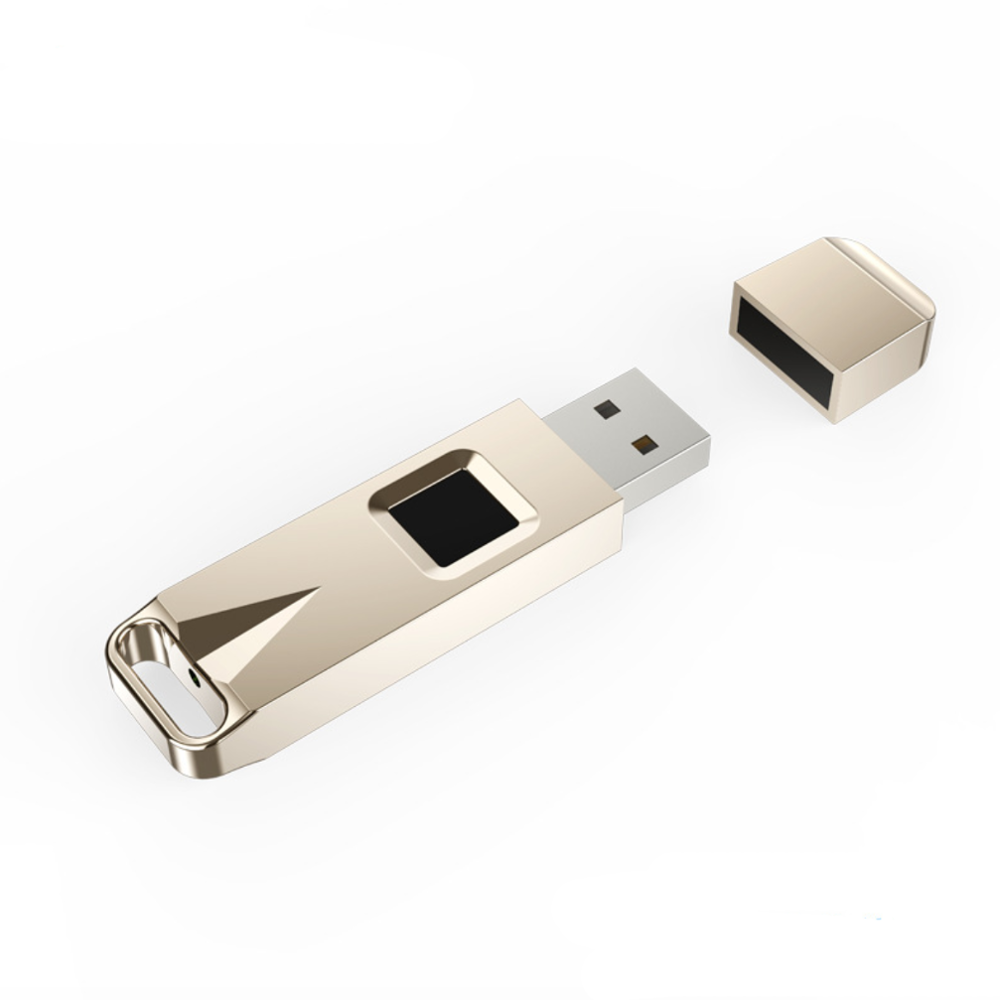 Usb-флеш-накопитель с зашифровкой по отпечатку пальца, 32 ГБ, 64 ГБ, 128 ГБ, 256 ГБ, с пользовательским логотипом
