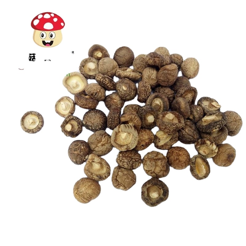 Китайский сушеный гриб shiitake, устричный гриб, небольшой пакет, высокое качество, завод грибов