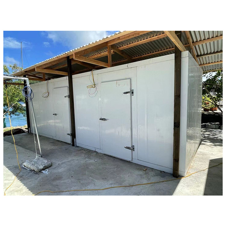 Manufacturers supply walk-in Freezer price Fruit and vegetable refrigerator cold storage room