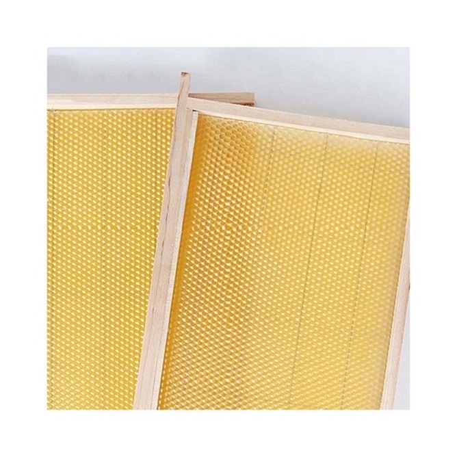 Multiple Functions Beeswax Nest Base Frame Practical Economy Beehive Frames Beeswax and Wood Plastic for Bee from CN;SIC 0.26