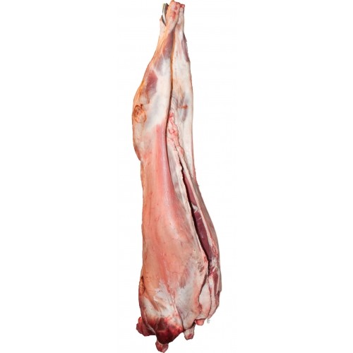 HALAL FROZEN LAMB WHOLE / GOAT MEAT / SHEEP / BONELESS GOAT / MUTTON