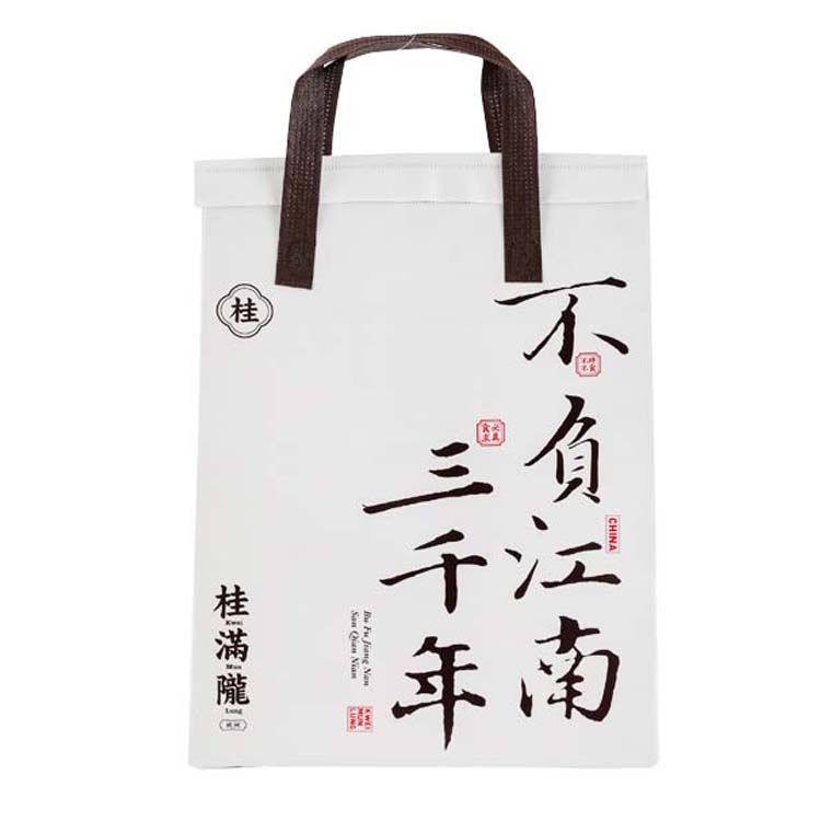 Hot Selling Automatic Made Custom Thermal Lunch Delivery Non Woven Disposable Cooler Bag