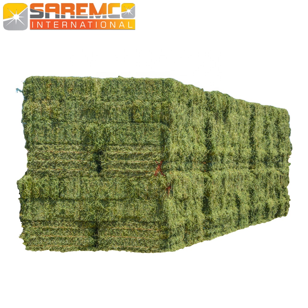 A grade rhodes grass hay bales pressing bales big bales from Pakistan