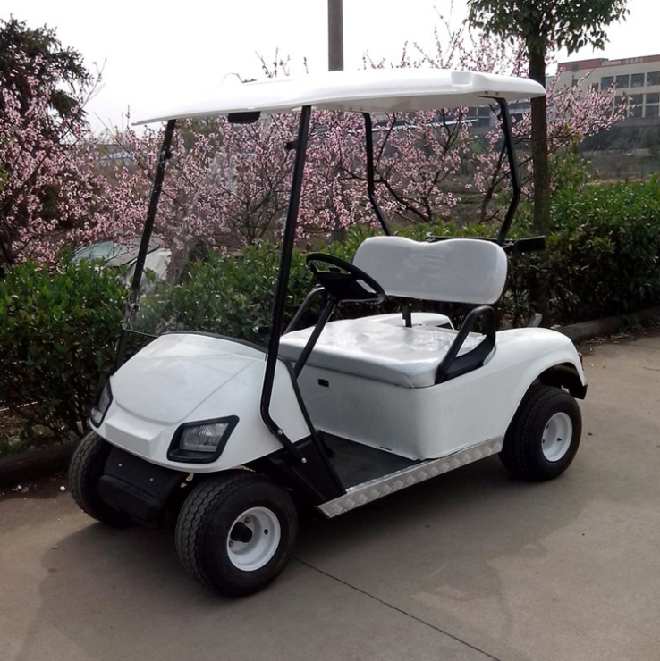 4 Wheels Adult Electric bus mini bus electric golf cart