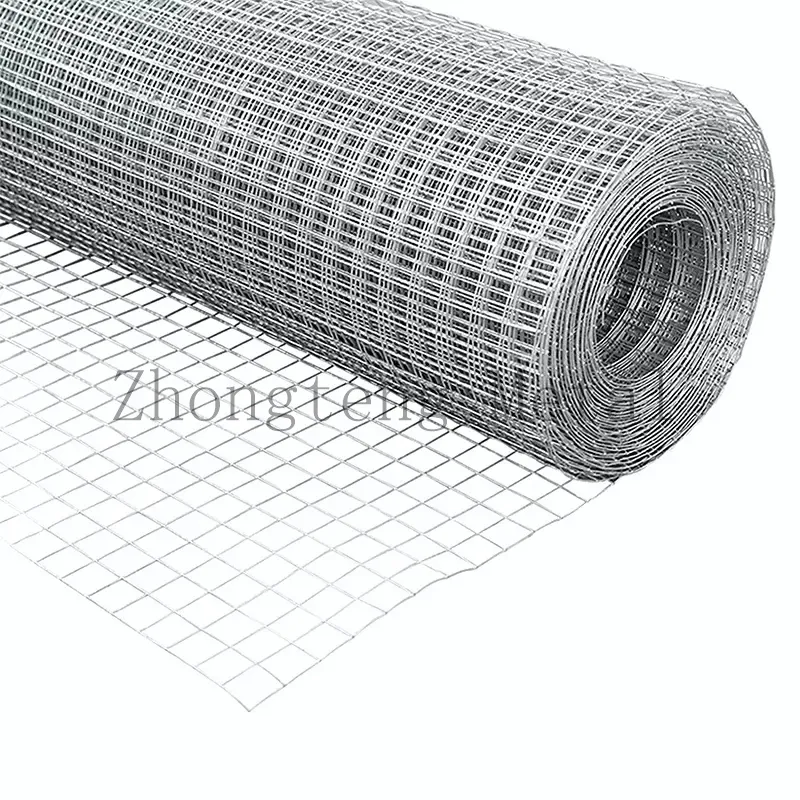 Hot dipped/electrolytic galvanized welded wire mesh for bird cage welded wire mesh roll