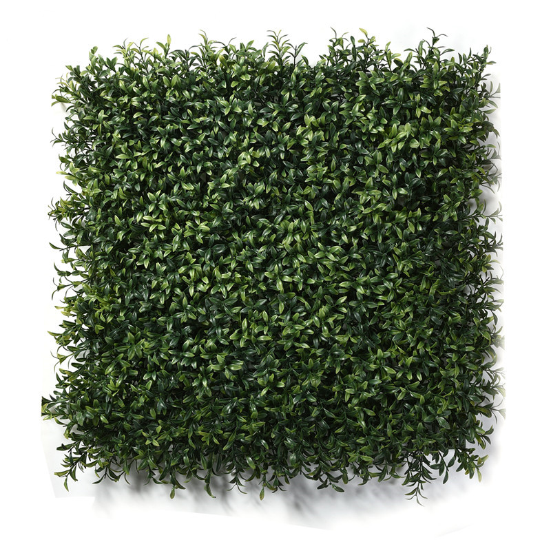 Wholesale Artificial Foliage Wall Air Plant Wall Artificial Boxwood Panels for vertical Wall Indoor