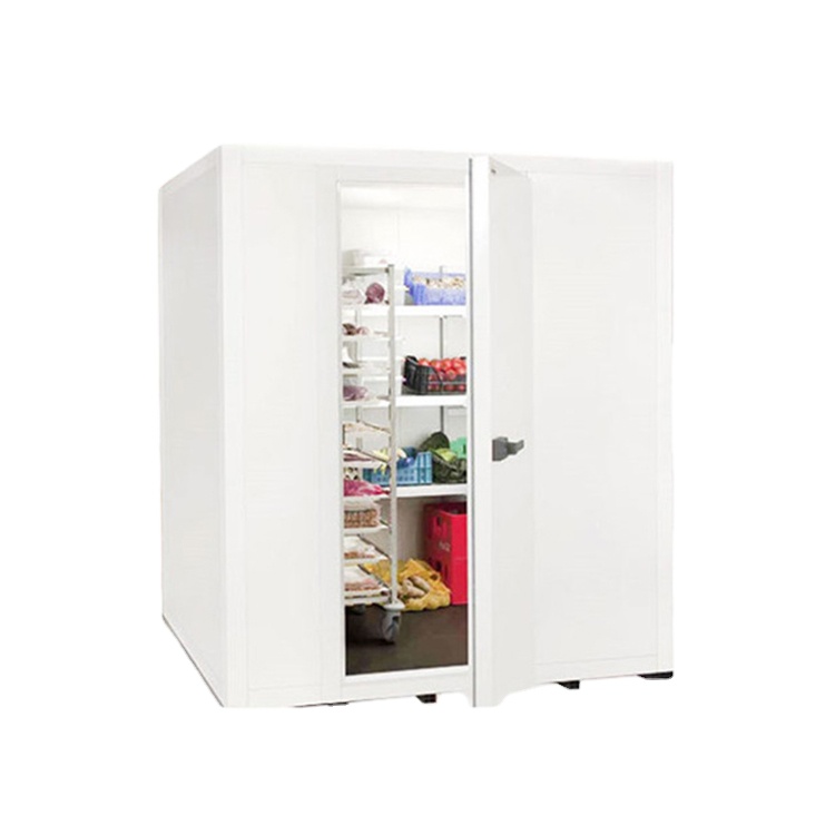 hot sale energy saving efficiency cold freezer storage room with CA system