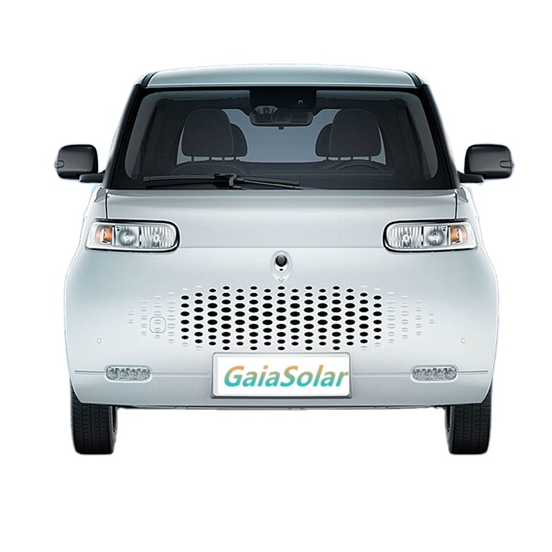 2021 Fast charging, smart interconnection, larger space and safer G-ORA R1 city used car