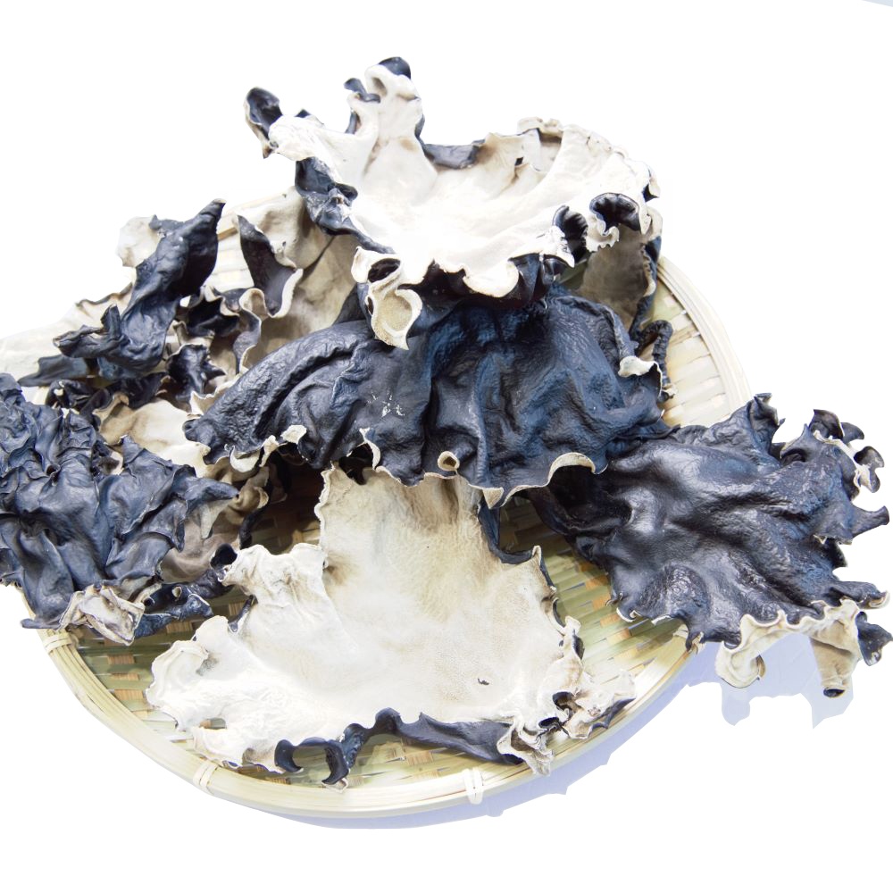 High Quality Dried White Back Black Fungus Mushrooms/Dried White Back Agaric/ Dried Fungus Mushroom
