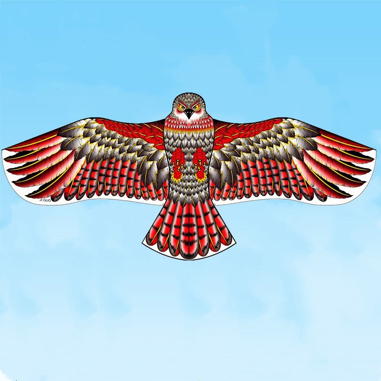 New Huge Eagle Kite Novelty Eagle Kite Flying Easy Control Family Outings Outdoor Fun Sports for Children's Best Gift