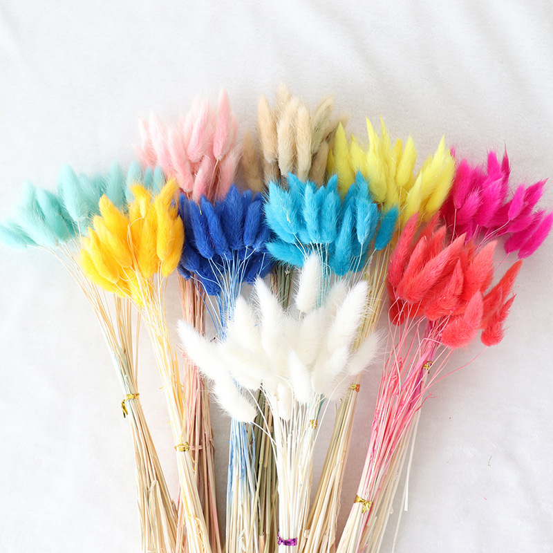 Wholesale Rabbit Tail Grass Dried Flowers Bouquet Preserved Real Flower 60pcs/bunch Bunny Tail Grass