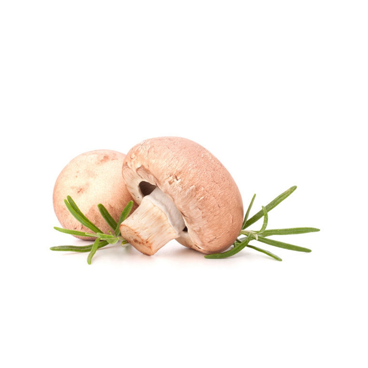 Popular Shops Primary Color Snack One Up Mushrooms Dehydrated Shiitake Mushroom