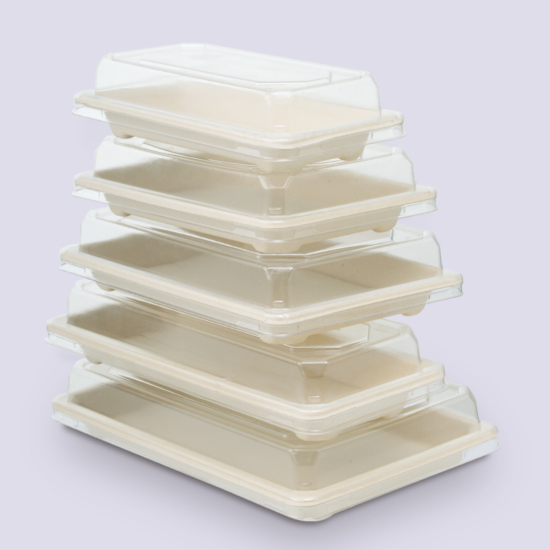 Compostable pulp tableware take away sugarcane sushi tray full series
