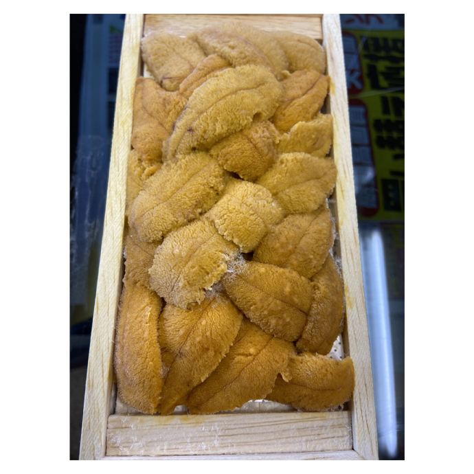 Frozen or refrigerated quality ea urchin frozen seafood prices