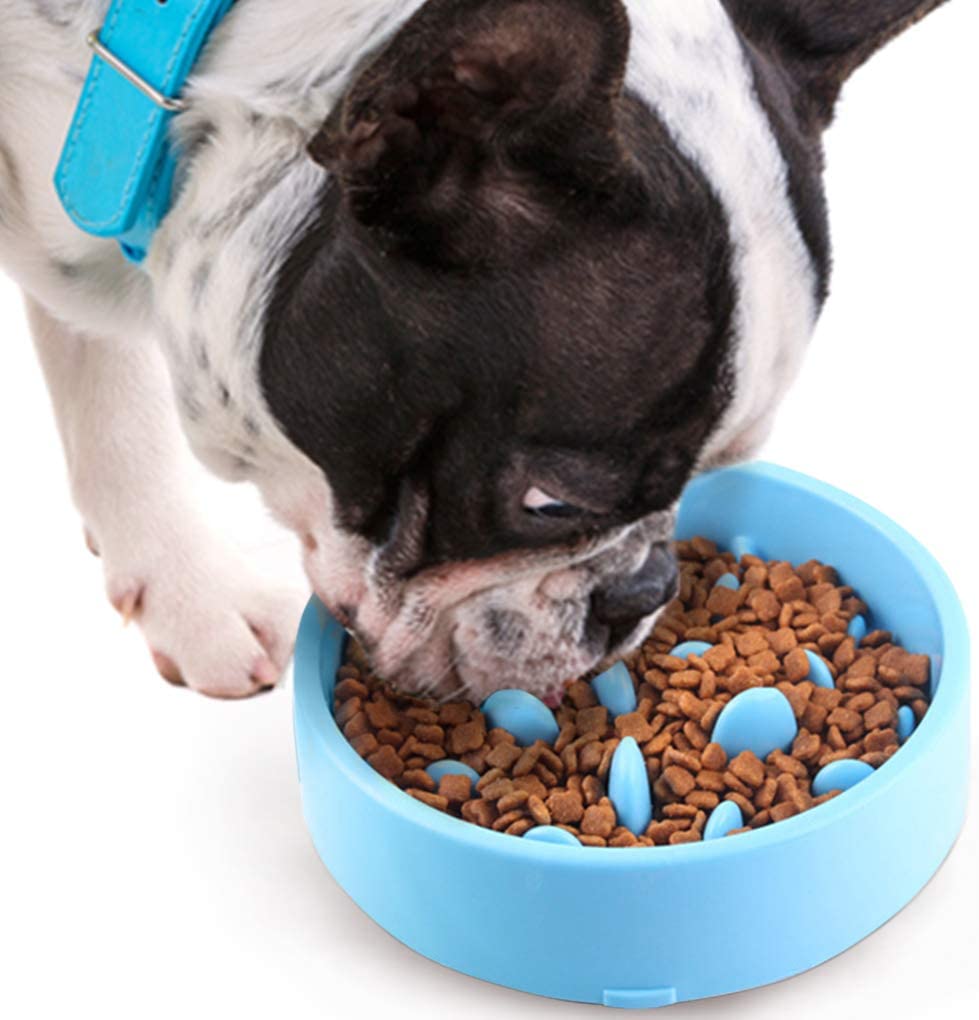 High Quality Round Plastic Pet Slow Feeder Bowl Health Cat Dog Bowl Slow Food