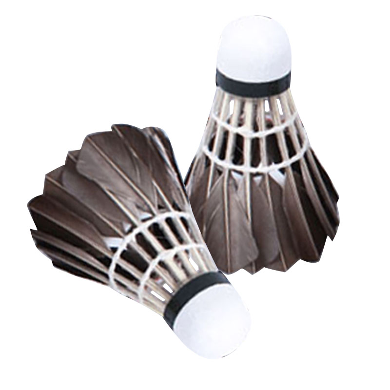 High Stability Durability 12pack Black Goose Feather Sport Badminton Shuttlecocks