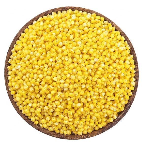 Wholesale 2020 New Crop High Quality Yellow Millet for Human Consumption