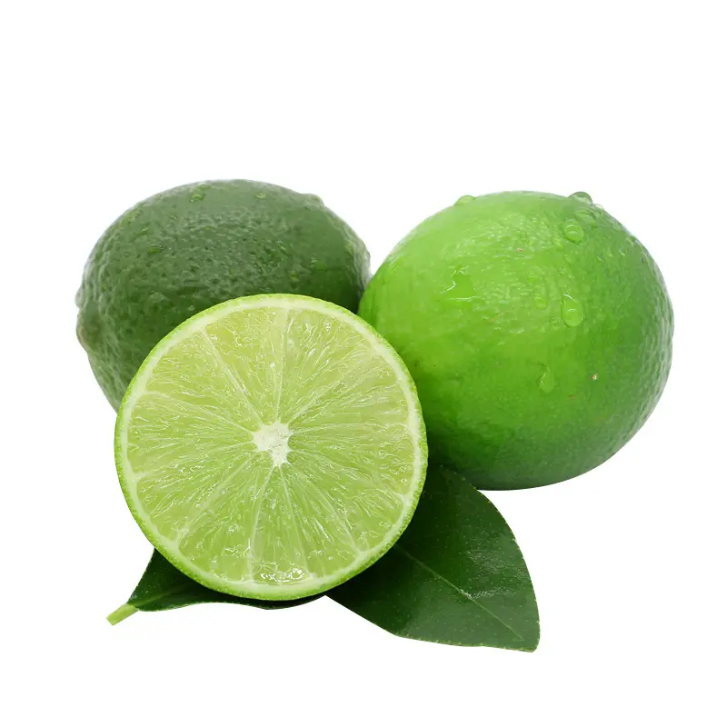 High Quality Wholesales Natural Origin Good Price From Vietnam Fresh Seedless Lemon Lime For Beverages