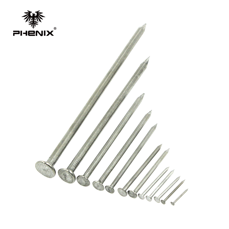 Flat Head Carbon Steel Hardware Nail Common Round Iron Wire Nails Iron Factory Common Nail