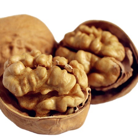 Customized High Quality walnuts kernel thin-skin raw light 33 walnuts with shell