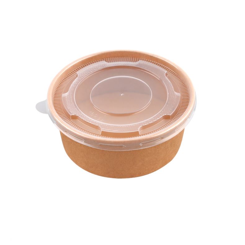 10Oz 12Oz 16Oz Double Wall Disposable Cup Eco Printed Soup Bowls 750Cc Paper Bowl With Lid