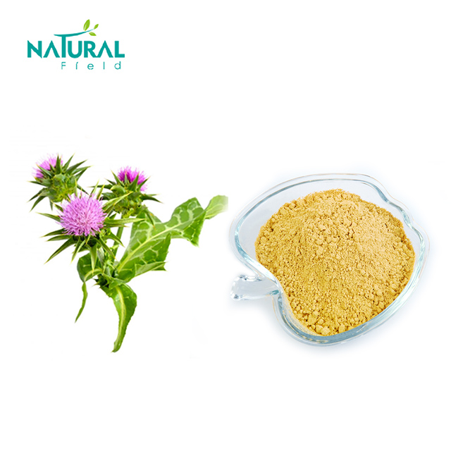 herbal extract free sample pharmaceutical grade 80% silymarin milk thistle extract