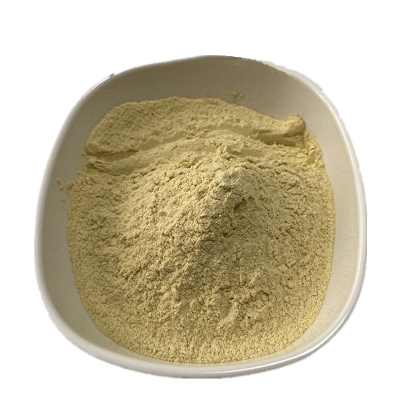 Wholesale price Bacillus Coagulans cas 68038-70-0 bulk Bacillus Coagulans Powder