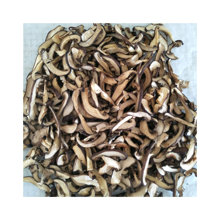 Merchant Recommendation Rootless Fleshy Nootropics Mushroom Protein Powder For Food Nutrition