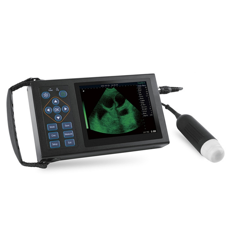 Full Digital Ultrasonic Diagnostic Instrument Veterinary Ultrasound Machine Pet Ultrasound Machine