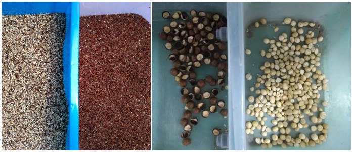 Mini multi-purpose rice grain coffee beans color sorter machine cashew pistachio optical sorting and grading machines