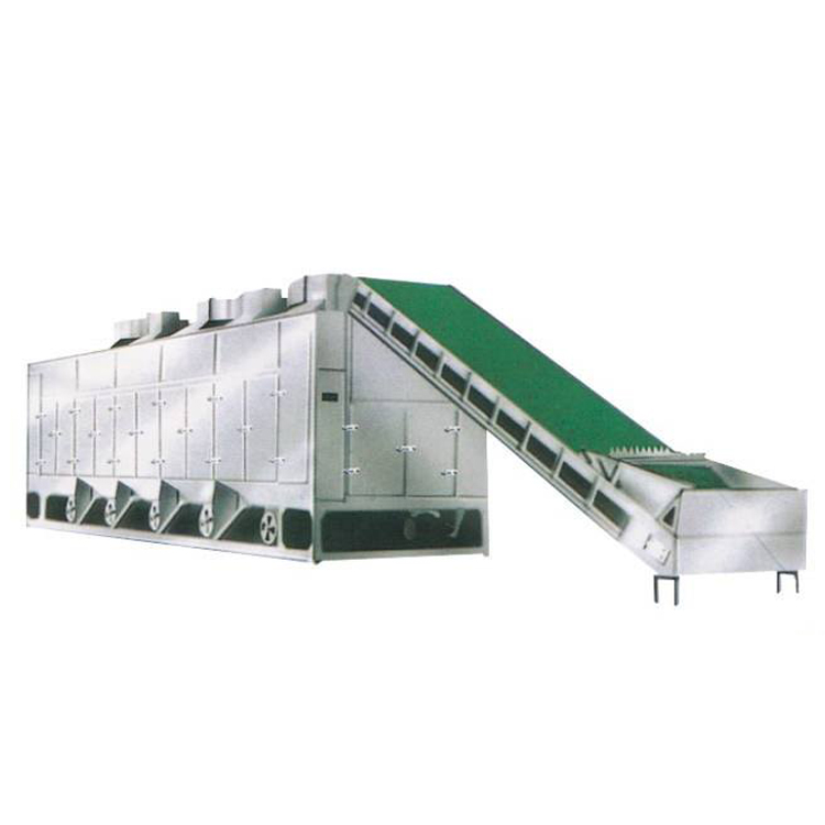 DW/DWT Hot Air Circulating Mesh Belt Dryer Conveyor Dryer Dehydrator for green beans/kidney bean