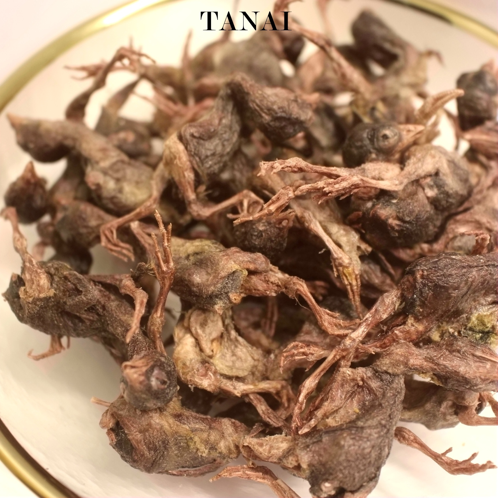 freeze dried quail as cat treats dog treats Snack Foods