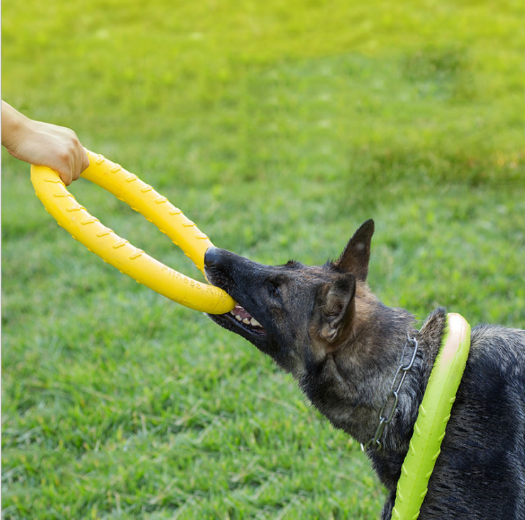 EVA dog flying disc toy rubber disc pet flying disc interactive for pets dogs training toys
