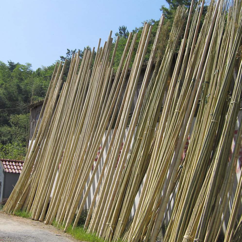China wholesale straight bamboo pole large bamboo poles buyers