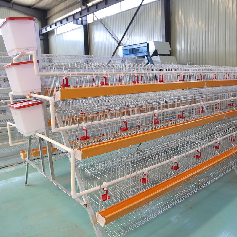 galvanized wire mesh chicken cage for sudan farms