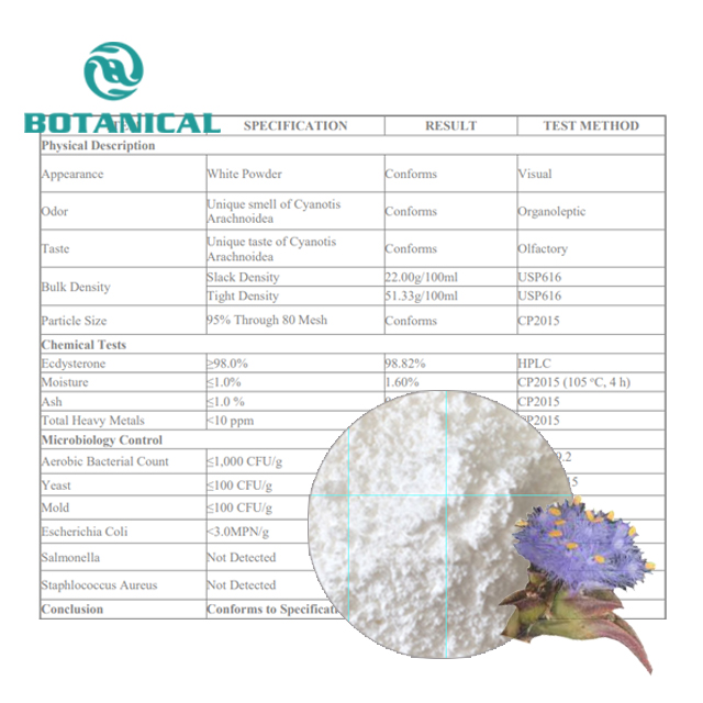 B.C.I Supply High Purity 98%  Ecdysterone Powder Cosmetic Raw Material Dew Grass Cyanotis Arachnoidea Extract Beta Ecdysterone