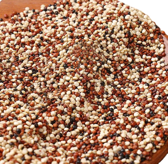 Прямые производители, продажа семян quinoa, Прямые производители, продажа семян quinoa