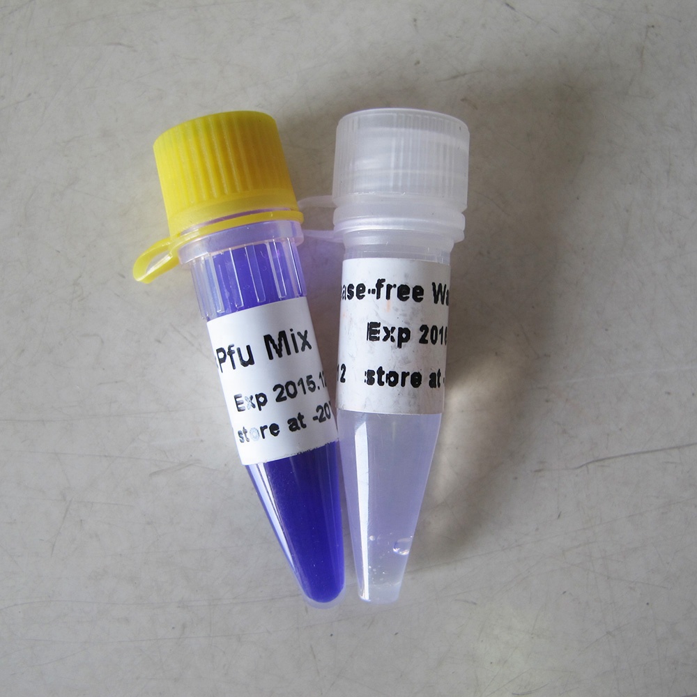 2x Pfu PCR Mix, high fidelity