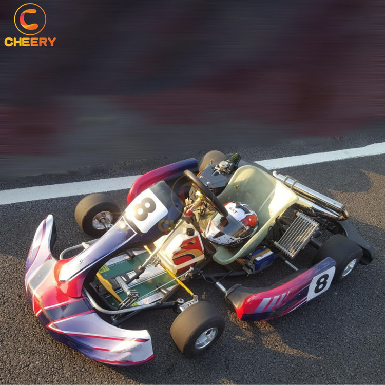 Крытый гоночных игр 150cc 8.3HP 90 км/ч бензин высокой скорости для картинга Профессиональный go kart для продажи