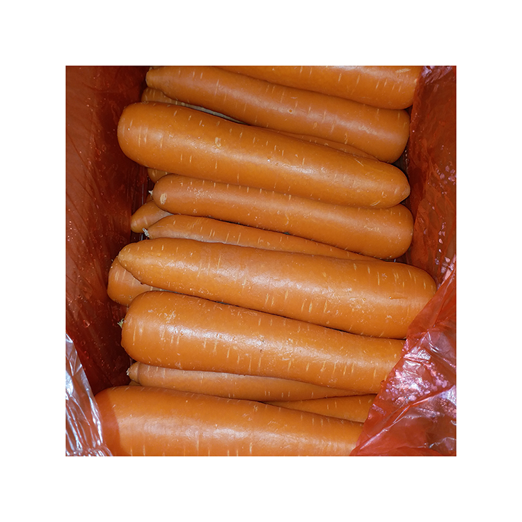 Завод продает свежие моркови, питающие желудок и защищающие глаза