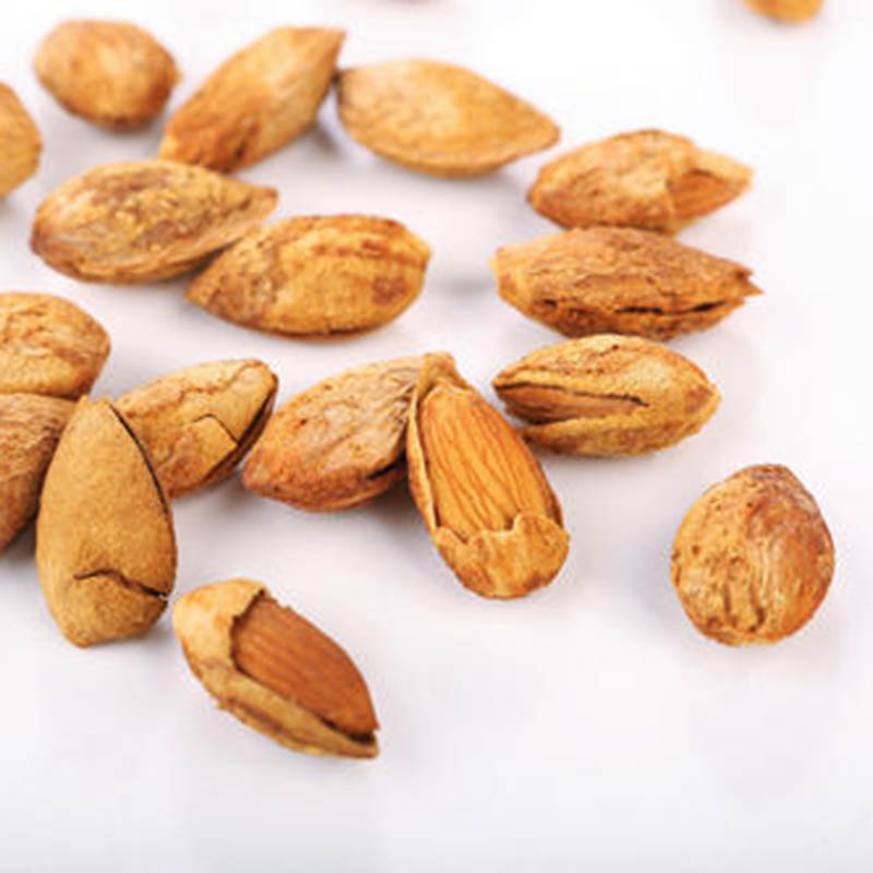 Hot Selling Inshell Nuts Badam Almond with best price