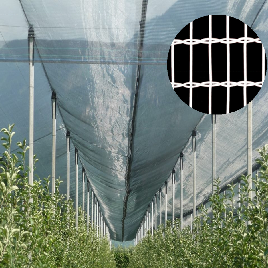 Противоградовая сетка Apple Tree Screenhouse
