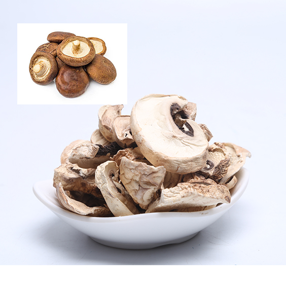Обезвоженный Shiitake для продажи
