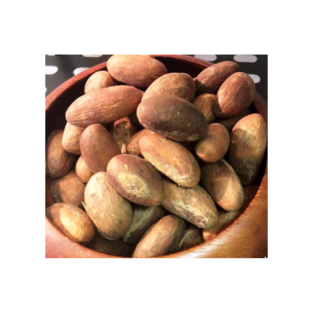 Pharmaceutical Grade Buyers Abroad Export Natural Dried Extract Nut High Fresh Bitter USA Garcinia Kola For Sale