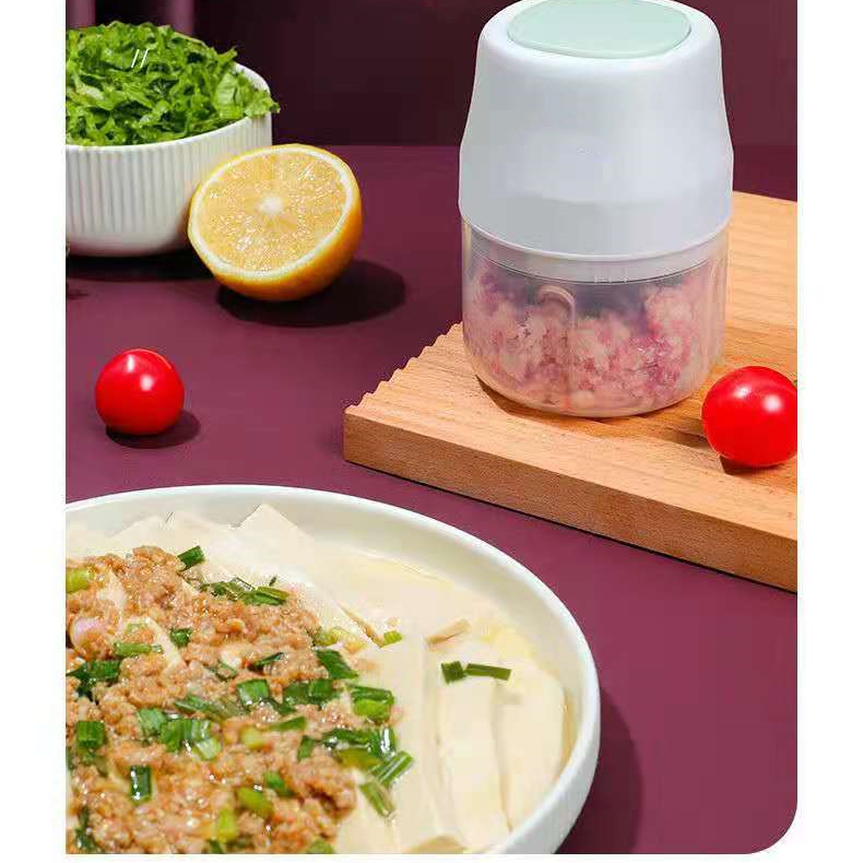 2021 Amazon Hot Sale Home Use Gadget Mini Food Chopper For Kitchen