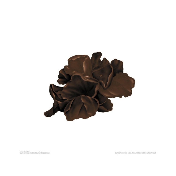 Efficient Collocation Healthy Delicious Family Food High Foaming Hair Agaric Treatment Black Edible Fungus