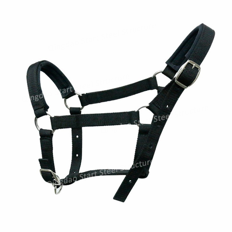 Colorful Horse racing used PP material durable Horse Halter