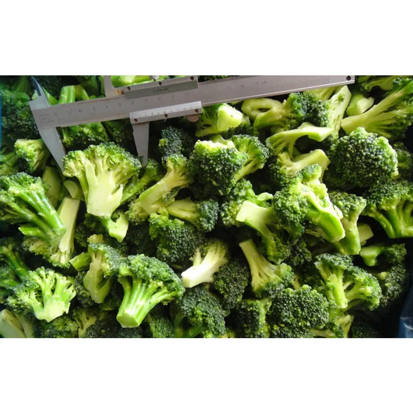 Wholesale bulk Frozen Broccoli fresh vegetables  Frozen Fresh Broccoli  Grade A Export Quality Fresh Broccoli